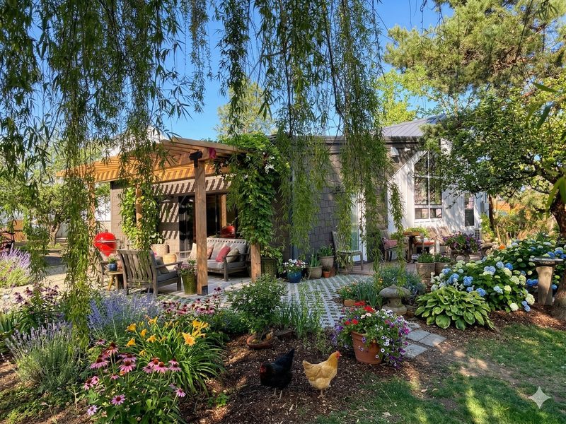 Landscape before renovation